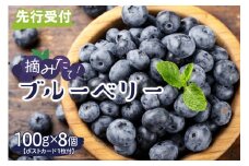 【2025年分先行予約】 北海道十勝芽室町　上美生のたからばこ　上美生の生ブルーベリーとポストカードのセット　me029-002-24c