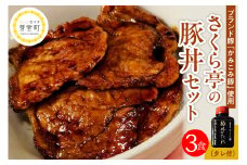 北海道十勝芽室町 十勝名物 豚丼 3食セット タレ付き  me042-004c