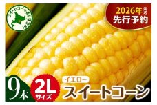 【先行受付】【2026年7月下旬～8月中旬頃配送】北海道十勝芽室町 とうもろこし 2L 9本入り me002-021c-26