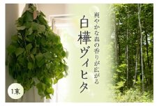 【先行受付】北海道芽室町産「白樺ヴィヒタ」１束　me055-001c-3