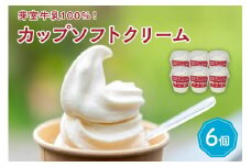 北海道十勝芽室町　あいす屋さんの牛乳ソフトクリーム　6個入り me008-006c