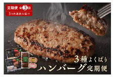 【3ヵ月定期便】北海道芽室町 3種よくばり ハンバーグ定期便 me000-010c