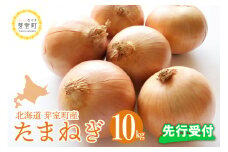 【先行受付】【2025年10月より配送予定】北海道十勝芽室産 たまねぎ10kg 1箱 me002-023-24c