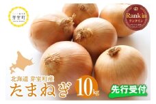 【先行受付】【2025年10月より配送予定】北海道十勝芽室産 たまねぎ10kg 1箱 me002-023-24c