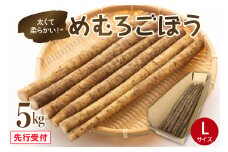 【先行受付】【10月中旬より発送】北海道十勝芽室町 めむろごぼうＬサイズ5kg me010-015c-24