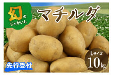 【先行受付】【2026年4月出荷分】十勝めむろ産 越冬 マチルダ Ｌサイズ10kg me010-013c-25