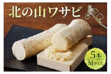 北海道十勝芽室町 北の山ワサビ（根茎）Mサイズ1本入×5パック me011-003c