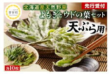 【先行受付】【2026年5月発送】北海道十勝芽室町 天ぷら用 ヨモギとウドの葉セット me011-006c