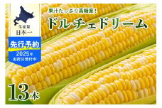 【2025年分先行予約】北海道十勝芽室町　スイートコーン ドルチェドリーム 13本  me062-001c-25
