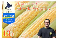 【8月1日頃から8月17日頃発送予定】北海道十勝芽室町　スイートコーン ゴールドラッシュ 13本 me062-002c-25