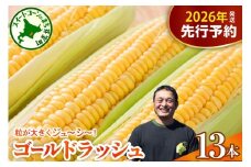 【先行受付】【2026年7月下旬～8月上旬頃配送】北海道十勝芽室町　スイートコーン ゴールドラッシュ 13本 me062-002c-26
