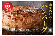 北海道十勝芽室町 未来めむろうし100％ハンバーグ　300g×2パック me067-001c