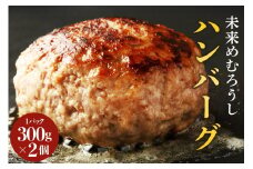  未来めむろうし100％ハンバーグ　300g×2パック 