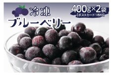 【2025年分先行予約】北海道十勝芽室町　上美生のたからばこ　上美生の冷凍ブルーベリーとポストカードのセット　me029-003-24c