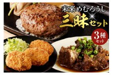 北海道十勝芽室町 未来めむろうし三昧セット me067-007c