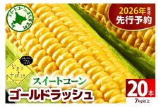 【先行受付】【2026年7月下旬～8月15日頃配送】北海道十勝芽室町 スイートコーンゴールドラッシュ20本 me001-020c-26
