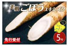 【先行予約】【2026年5月中旬より順次発送】北海道十勝芽室町 なまら十勝野 芽室町産 春掘り美肌ごぼう【ユキシズク】L5kg me001-035c