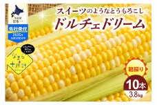 【7月下旬～８月下旬配送】北海道十勝芽室町 なまら十勝野　ドルチェドリーム(10本) 　me001-043c-25