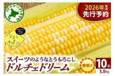 【先行受付】【2026年7月下旬～8月15日頃配送】北海道十勝芽室町 なまら十勝野　ドルチェドリーム(10本) 　me001-043c-26