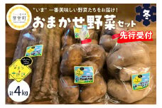 【先行受付】【2026年2月より順次発送】北海道十勝芽室町 季節のおまかせ野菜セット（冬） me001-015c
