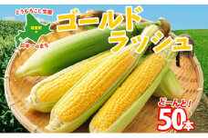 【2025年分先行予約】とうもろこし ゴールドラッシュ 50本 芽室町産 トウモロコシ コーン とうきび イエローコーン スイートコーン 野菜 新鮮 もぎたて 冷蔵 ギフト プレゼント お取り寄せ 送料無料 十勝 北海道 芽室町 【2025年8月発送】me035-029c-25