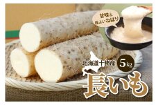 北海道十勝芽室町 ファーム・ミリオンの長芋　5㎏ me016-012c