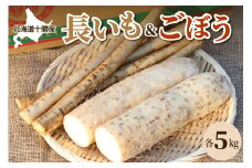 北海道十勝芽室町 ファーム・ミリオンの長芋ごぼうセット 10kg me016-014c
