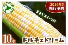 【先行受付】【2026年7月下旬～8月中旬頃配送】北海道十勝芽室町 とうもろこし バイカラー ドルチェドリーム 10本 me002-024c-26