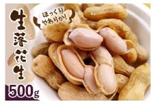 【先行予約】北海道十勝芽室町 生落花生（洗い）500g me010-016c