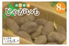 北海道十勝芽室町　【2025年2月より順次発送】自然菜園ふたば　宇佐美亮のじゃがいも 8kg　me074-005c