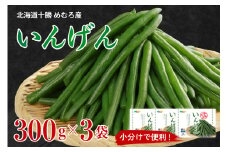 北海道十勝芽室町 十勝めむろ 冷凍野菜 いんげん 300g×3袋 me003-120c
