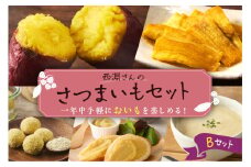 北海道十勝芽室町　西淵さんのさつまいも　Bセット　me076-002c