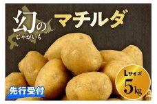 【先行受付】【2026年4月出荷分】十勝めむろ産 越冬 マチルダ Ｌサイズ5kg me010-018c-25
