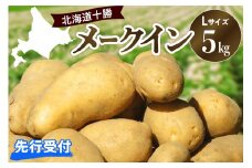 【先行受付】【2025年10月出荷分】北海道芽室町 十勝めむろ産「めむろメークイン」Ｌサイズ5kg me010-019c-25