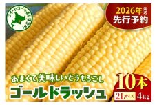 【先行受付】【2026年8月上旬～8月下旬頃配送】北海道十勝芽室町 とうもろこし ゴールドラッシュ 2Lサイズ 10本セット me078-003c-26