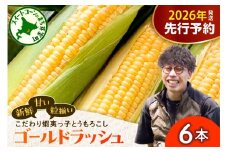 【先行受付】【2026年7月25日～8月15日頃発送予定】朝採りをお届け！ 北海道十勝芽室町　蝦夷っ子とうもろこし ゴールドラッシュ 6本 me076-008c-26
