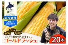 【7/25～8/15頃発送予定】朝採りをお届け！ 北海道十勝芽室町　蝦夷っ子とうもろこし ゴールドラッシュ 20本 me076-010c-25