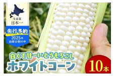 【8月1日より順次発送予定】北海道十勝芽室町 とうもろこし ホワイトコーン 10本セット me078-004c-25