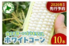 【先行受付】【2026年8月10日～8月下旬配送】北海道 十勝芽室町 とうもろこし ホワイトコーン 10本セット me078-004c-26