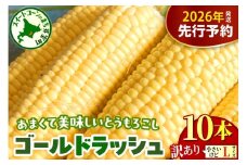 【先行受付】【2026年8月上旬～8月下旬頃配送】【訳あり】北海道十勝芽室町 とうもろこし ゴールドラッシュ Lサイズ 10本セット　me078-006c-26