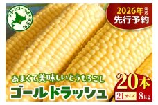 【先行受付】【2026年8月上旬～8月下旬頃配送】北海道十勝芽室町 とうもろこし ゴールドラッシュ 2Lサイズ 20本セット me078-010c-26