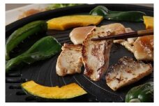 一度食べたらやみつきに！村のお肉屋さんの味付け若どり[Q1-2B]
