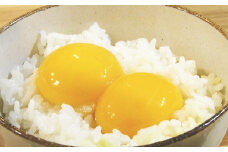 【十勝】新鮮なたまごを皆様の食卓へ！ピータンたまご （白玉L・60個+割れ保証品20個） [T1-1B]