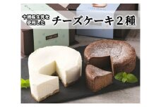 雪と星のケーキ（ホールタイプ）[C1-8B]