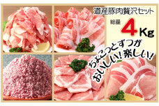 肉屋のプロ厳選！ 北海道産 豚肉 贅沢 詰め合わせ セット 4kg 【2025年11月下旬まで発送予定】[007-0009x2]
