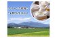 クリーンな環境で”本物”が生まれる