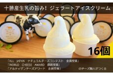 十勝産生乳の旨み！ジェラートアイスクリーム 16個セット CAMEMBERT（カマンベール）[C1-17]