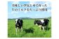 おいしい空気と水で育った牛のミルクをたっぷり使用