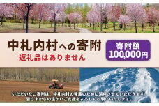 中札内村への寄附（返礼品はありません） 1口 100,000円 10万円 北海道 中札内村 寄附のみ 寄附 [038-0020]