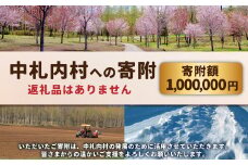 中札内村への寄附（返礼品はありません） 1口 1,000,000円 100万円 北海道 中札内村 寄附のみ 寄附 [038-0022]